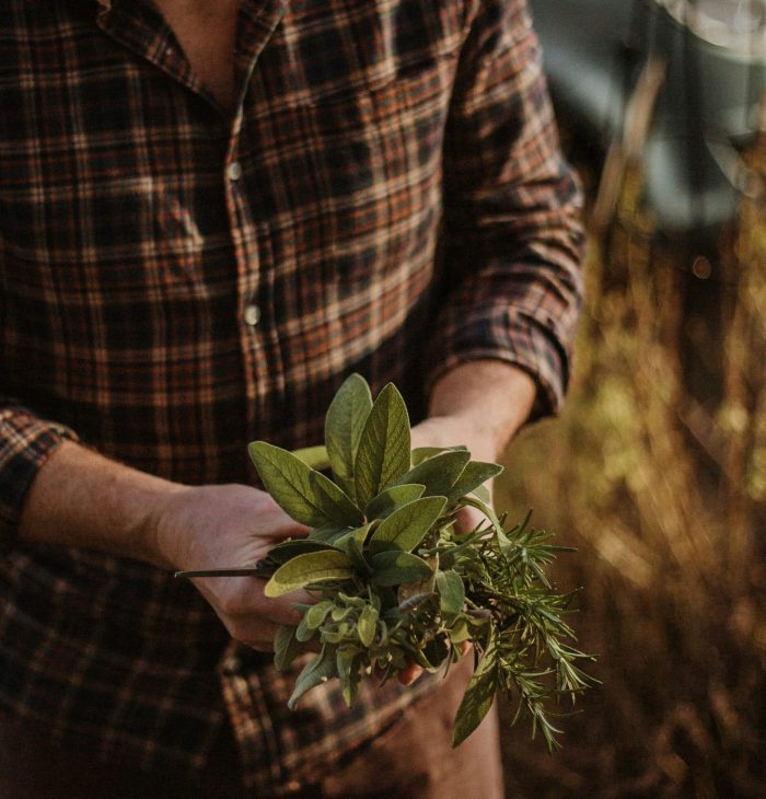 charlotte-thomas-9zVMF1HJiic-unsplash