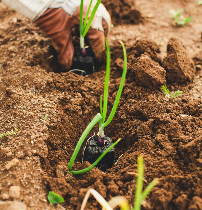 markus-spiske-ZSZ6wzNU12Q-unsplash